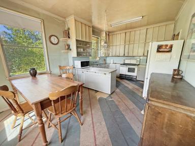 House For Sale - NSW - Young - 2594 - One Family Over 60 Years  (Image 2)