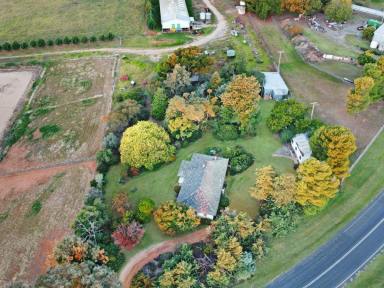 House For Sale - NSW - Young - 2594 - One Family Over 60 Years  (Image 2)