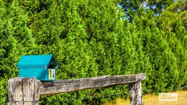 Acreage/Semi-rural For Sale - NSW - Rainbow Flat - 2430 - Two Highly Sought After Acres On The Coast  (Image 2)