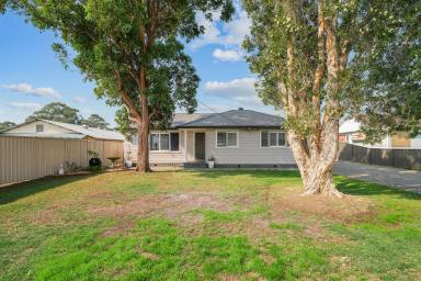 House For Sale - NSW - Clarence Town - 2321 - FAMILY CHARM, HUGE SHED, WALK TO TOWN & RIVER!  (Image 2)