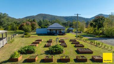 Lifestyle For Sale - NSW - Crawford River - 2423 - 80 Acres of Productive River Flats - Crawford River  (Image 2)