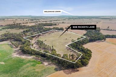 Mixed Farming For Sale - VIC - Llanelly - 3551 - Versatile Farming & Lifestyle Allotment  (Image 2)