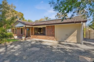 House For Sale - SA - Hahndorf - 5245 - The ultimate upgrader with a splash of fun!  (Image 2)