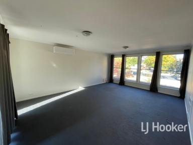 House For Lease - NSW - Inverell - 2360 - Spacious 3-bedroom Home with Studio  (Image 2)