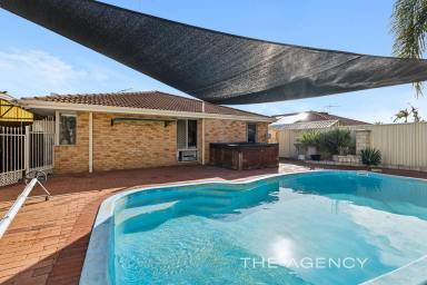 House For Sale - WA - Caversham - 6055 - Renovated Family Home with Pool, Shed & Secure Income !  (Image 2)