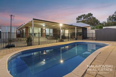 House For Sale - WA - Marangaroo - 6064 - THE ENTERTAINER!!  (Image 2)