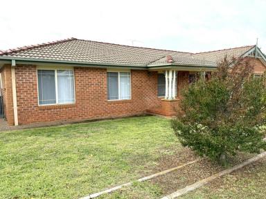 House For Sale - NSW - Young - 2594 - Ideal Investment or Perfect New Home  (Image 2)