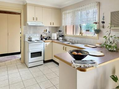 House For Sale - NSW - Young - 2594 - Great Investment Opportuniy  (Image 2)