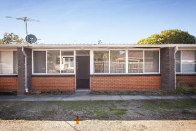 Apartment For Lease - VIC - Chelsea Heights - 3196 - JUST RENOVATED l PRIVATE COURTYARD l QUIET BLOCK  (Image 2)