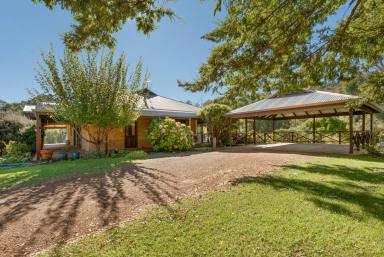 House For Sale - WA - Balingup - 6253 - The ultimate tree change opportunity  (Image 2)