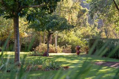 House For Sale - WA - Balingup - 6253 - The ultimate tree change opportunity  (Image 2)