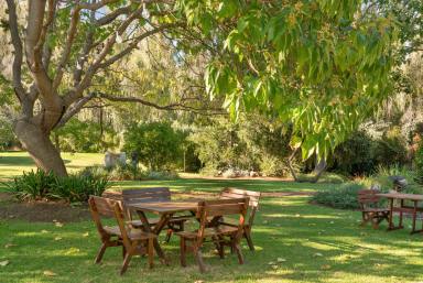 Hotel/Leisure For Sale - WA - Balingup - 6253 - Blackwood Valley's finest  (Image 2)