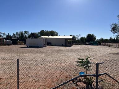 House For Sale - NSW - Cumborah - 2832 - 22 Walgett St, Cumborah  (Image 2)