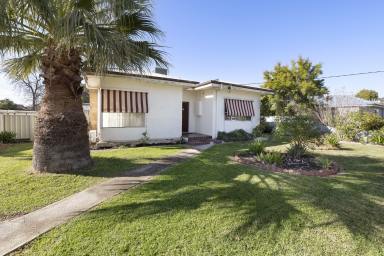 House For Sale - VIC - Swan Hill - 3585 - Corner Block Potential  (Image 2)