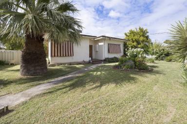 House For Sale - VIC - Swan Hill - 3585 - Corner Block Potential  (Image 2)
