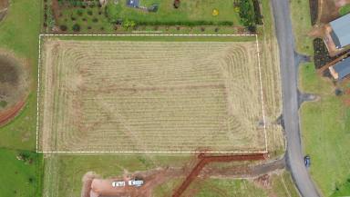 Residential Block For Sale - QLD - Peeramon - 4885 - Spacious 5,009m² Homesite – Minutes to Lake Eacham  (Image 2)