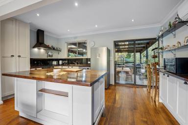 House For Sale - VIC - Spring Gully - 3550 - Elevated Living with Scenic Bushland Views  (Image 2)