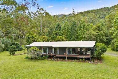 House For Sale - QLD - Cedar Creek - 4520 - Spacious Country Living with Multi-Generation Appeal!  (Image 2)