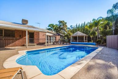 House For Sale - VIC - Mildura - 3500 - RAMBLING FAMILY STYLE HOMESTEAD  (Image 2)