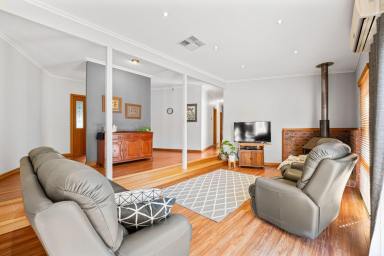 House For Sale - VIC - Mildura - 3500 - RAMBLING FAMILY STYLE HOMESTEAD  (Image 2)