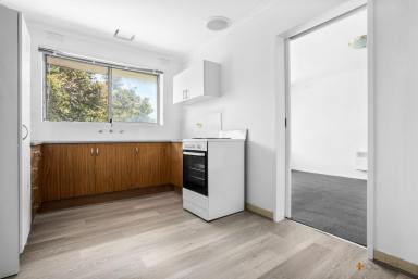 Unit For Lease - VIC - Cheltenham - 3192 - TWO BEDROOM | SPACIOUS  | GREAT LOCATION  (Image 2)