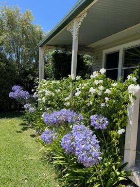 House For Sale - NSW - Mudgee - 2850 - COMFORT, CHARACTER & CONVENIENCE  (Image 2)