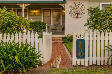 House For Sale - NSW - Mudgee - 2850 - COMFORT, CHARACTER & CONVENIENCE  (Image 2)