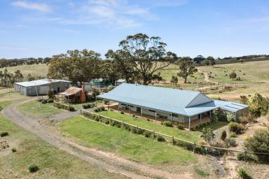 Mixed Farming For Sale - VIC - Tooborac - 3522 - “Glenullin” – A Generational Rural Holding  (Image 2)