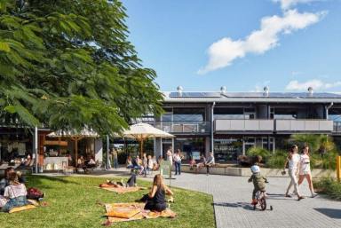 Retail For Lease - NSW - Byron Bay - 2481 - Byron Bay Showroom & Retail Space for Lease  (Image 2)