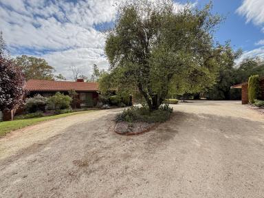 Acreage/Semi-rural For Sale - VIC - Nyah - 3594 - Not Just a House - Space, Comfort… and a Place to Call Home  (Image 2)