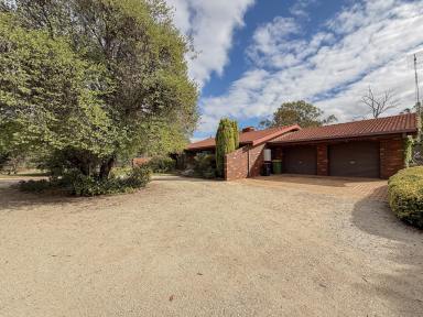 Acreage/Semi-rural For Sale - VIC - Nyah - 3594 - Not Just a House - Space, Comfort… and a Place to Call Home  (Image 2)