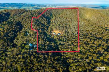 Acreage/Semi-rural For Sale - NSW - Black Range - 2550 - PRIVATE OFF GRID HOME & INDUSTRIAL SHED - MINUTES FROM BEGA  (Image 2)