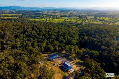 Acreage/Semi-rural For Sale - NSW - Black Range - 2550 - PRIVATE OFF GRID HOME & INDUSTRIAL SHED - MINUTES FROM BEGA (Image 2)