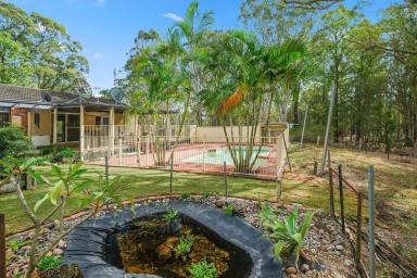 Lifestyle For Sale - NSW - Eagleton - 2324 - PRIVATE ACREAGE RETREAT WITH SHEDDING, SPACE & SERENITY  (Image 2)