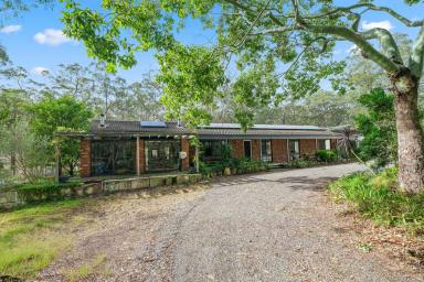 Lifestyle For Sale - NSW - Eagleton - 2324 - PRIVATE ACREAGE RETREAT WITH SHEDDING, SPACE & SERENITY  (Image 2)