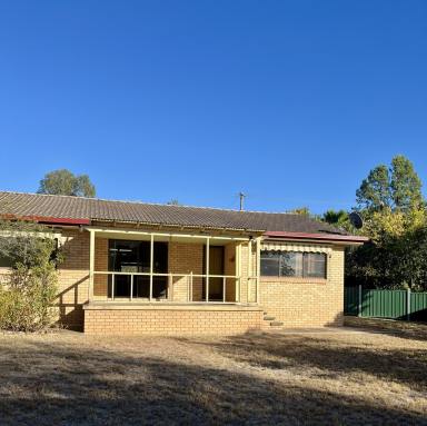 House For Lease - NSW - Quirindi - 2343 - Neat and tidy 3 bedroom home  (Image 2)