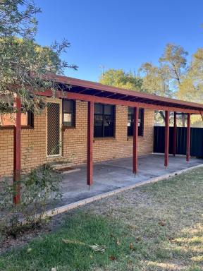 House For Lease - NSW - Quirindi - 2343 - Neat and tidy 3 bedroom home  (Image 2)