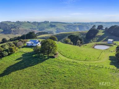 Mixed Farming For Sale - VIC - Arawata - 3951 - Magnificent views and grazing country!  (Image 2)