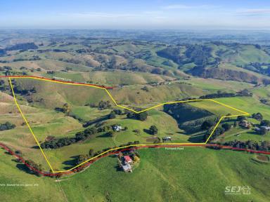 Mixed Farming For Sale - VIC - Arawata - 3951 - Magnificent views and grazing country!  (Image 2)