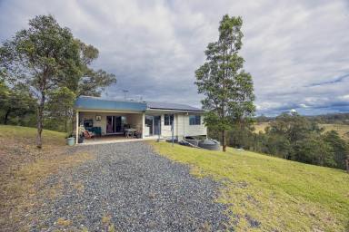 Acreage/Semi-rural For Sale - NSW - Minimbah - 2312 - Peaceful Rural Lifestyle Retreat  (Image 2)