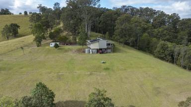 Acreage/Semi-rural For Sale - NSW - Minimbah - 2312 - Peaceful Rural Lifestyle Retreat  (Image 2)
