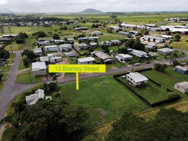 Residential Block For Sale - QLD - Ingham - 4850 - VACANT BLOCK OF LAND ON NORTHERN SIDE OF TOWN!  (Image 2)
