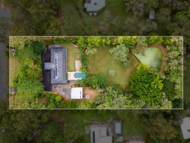 House Auction - QLD - Doonan - 4562 - Diamond in Doonan - Acreage Living with Endless Potential  (Image 2)