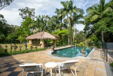 House Sold - QLD - Doonan - 4562 - Diamond in Doonan - Acreage Living with Endless Potential  (Image 2)
