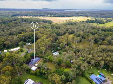 House Auction - QLD - Doonan - 4562 - Diamond in Doonan - Acreage Living with Endless Potential  (Image 2)