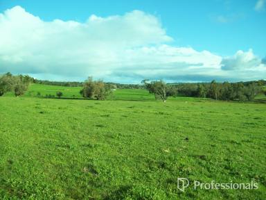 Mixed Farming For Sale - WA - Hastings - 6308 - Prime Land Available Now  (Image 2)