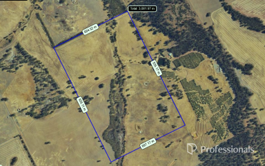 Mixed Farming For Sale - WA - Hastings - 6308 - Prime Land Available Now  (Image 2)