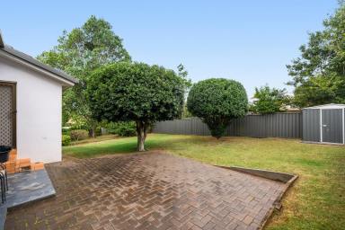 House For Sale - QLD - Mount Lofty - 4350 - Two living areas, Generous Space & Flexible Living in a Quiet Mount Lofty Position  (Image 2)