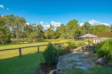 Acreage/Semi-rural For Sale - QLD - Jones Hill - 4570 - DUAL LIVING LIFESTYLE  (Image 2)