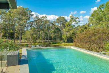 Acreage/Semi-rural For Sale - QLD - Jones Hill - 4570 - DUAL LIVING LIFESTYLE (Image 2)